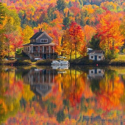 موسی الرضا هاتفی تو صدات برای من لالاییه نباشی قسمت دل تنهاییه